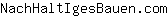 N***m