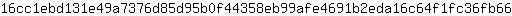 1***6