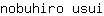 n***i