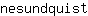 n***t