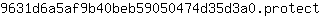 9***t