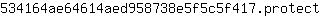 5***t
