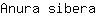 A***a