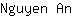 N***n