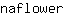 n***r