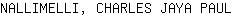 N***L