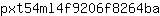 p***a