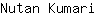 N***i