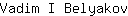 V***v