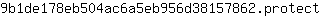 9***t