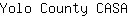 Y***A