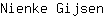 N***n