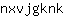 n***k