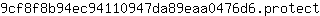 9***t