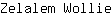 Z***e