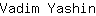 V***n