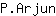 P***n