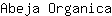 A***a