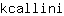k***i