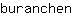 b***n