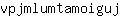 v***j