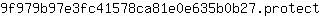 9***t