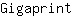 G***t