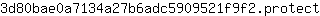 3***t