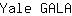 Y***A
