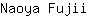 N***i