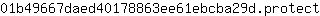 0***t