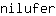 n***r