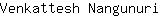 V***i