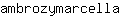 a***a