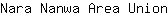 N***n