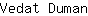 V***n