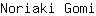 N***i