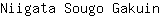 N***n