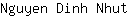 N***t