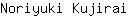 N***i