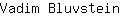 V***n