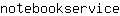 n***e