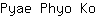 P***o