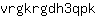 v***k