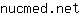 n***t