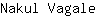 N***e
