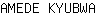 A***A