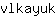 v***k