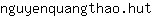n***t