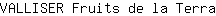 V***a